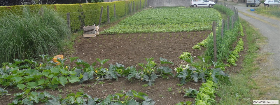 Nous utilisons les légumes de notre jardin
Nous utilisons les légumes de notre jardin